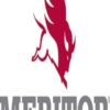 Meritor 17NYS3299 End Yoke